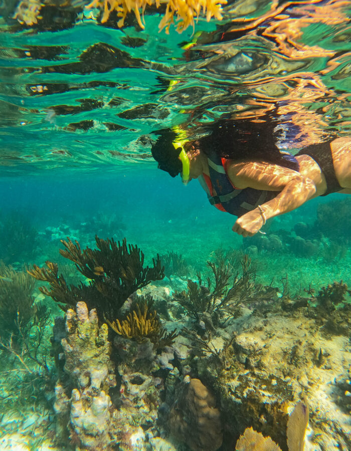 DCIM101GOPROGOPR6946.JPG