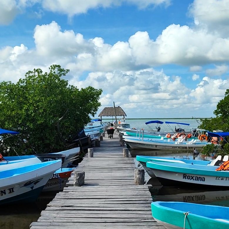 VID_20221124_141843 - frame at 0m18s